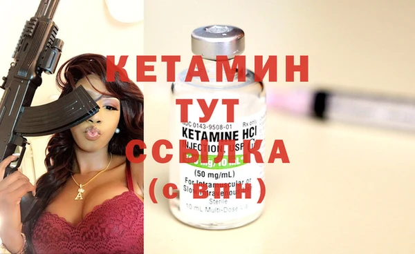 сатива Армянск
