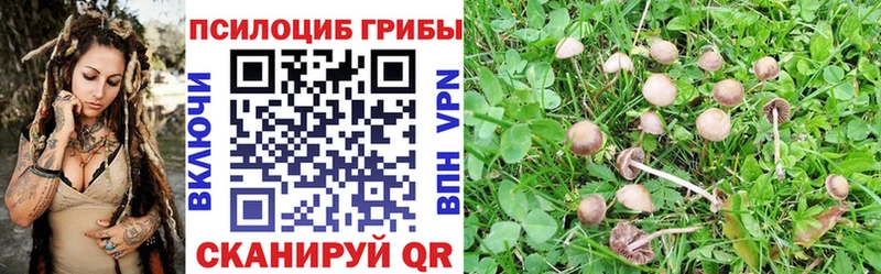 Псилоцибиновые грибы Psilocybe  MEGA   Уяр 